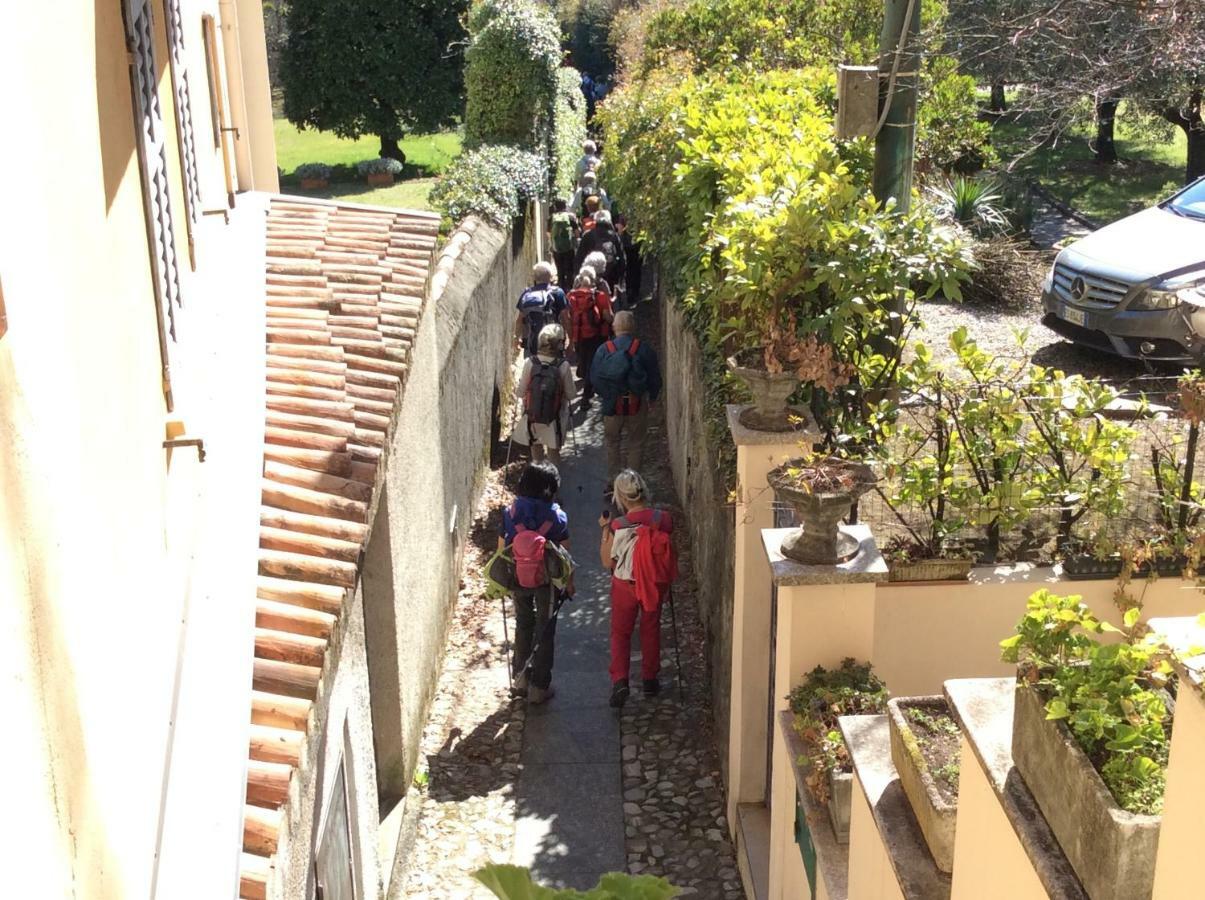 Il Nido Nella Quiete Διαμέρισμα Tremezzo Εξωτερικό φωτογραφία